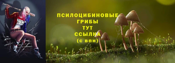 a pvp Зеленокумск