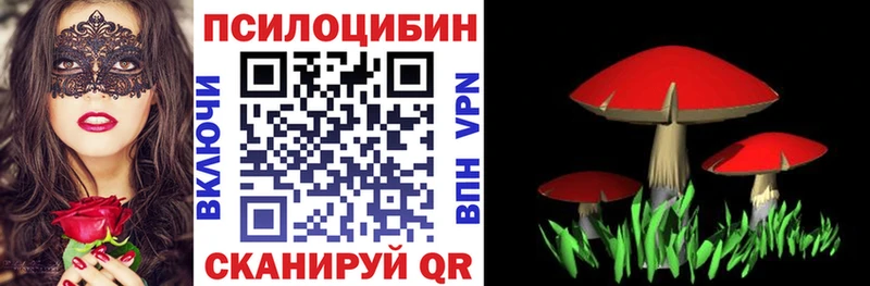 Галлюциногенные грибы Cubensis  MEGA tor  Зеленодольск 